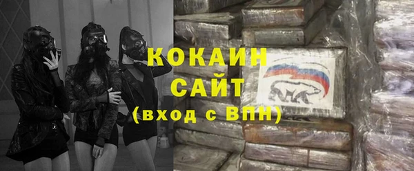 крисы Баксан