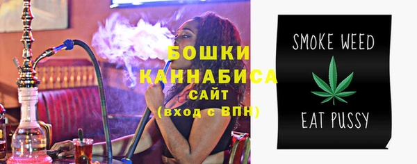 стаф Братск