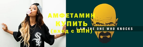 сатива Великий Новгород