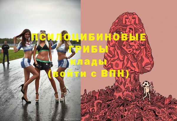 индика Покачи